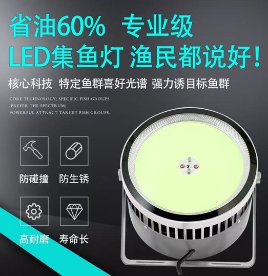 梅州集鱼灯